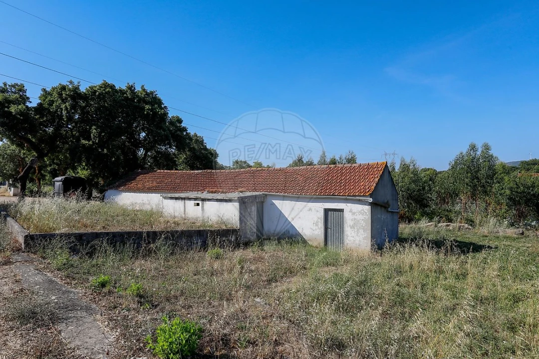 Armazém para Venda em Rio Maior Foto 14