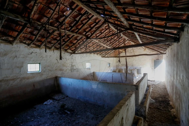 Armazém para Venda em Rio Maior Foto 12