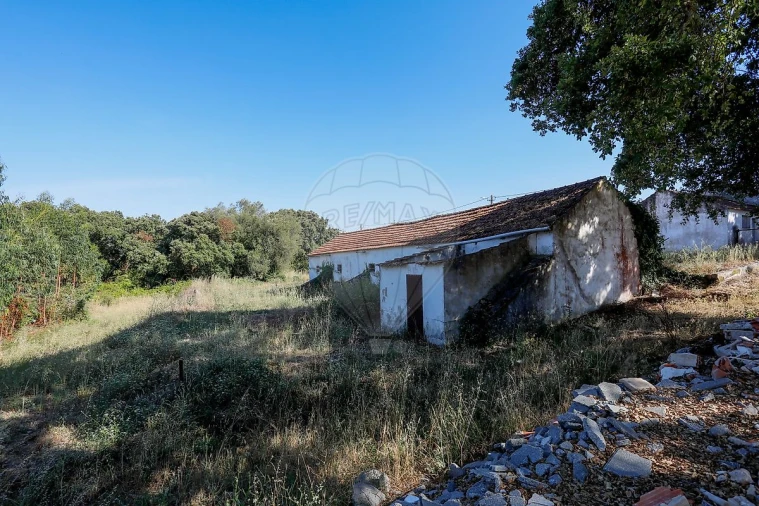 Armazém para Venda em Rio Maior Foto 15