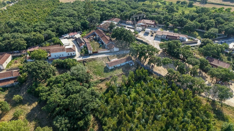 Armazém para Venda em Rio Maior Foto 16