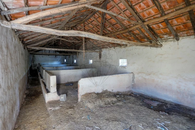 Armazém para Venda em Rio Maior Foto 5