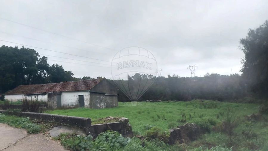 Armazém para Venda em Rio Maior Foto 4