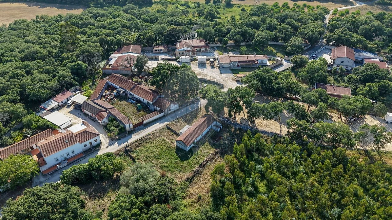 Armazém para Venda em Rio Maior Foto 18