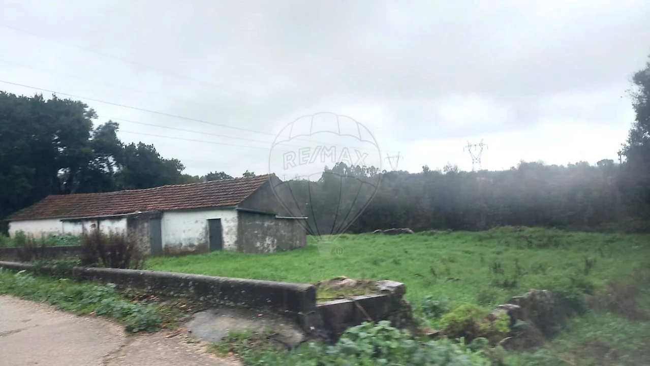 Armazém para Venda em Rio Maior Foto 3