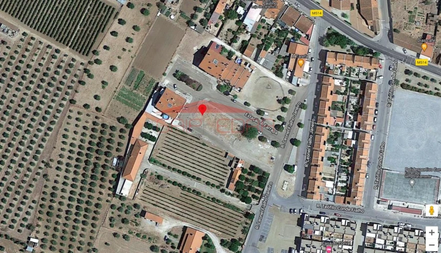 Terreno para Venda em Monsaraz Foto 5