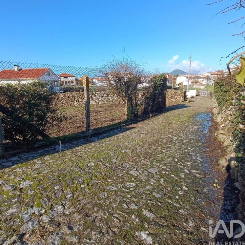 Terreno para Venda em Moledo e Cristelo Foto 15