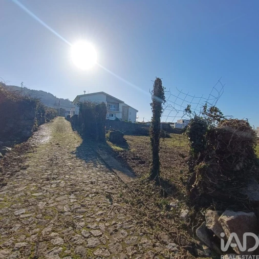 Terreno para Venda em Moledo e Cristelo Foto 14