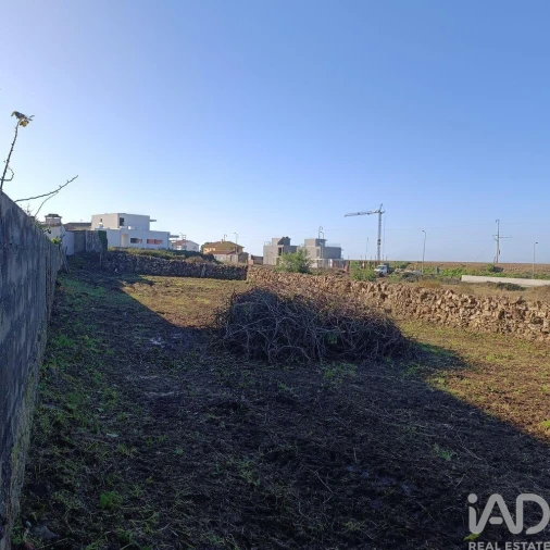 Terreno para Venda em Moledo e Cristelo Foto 6