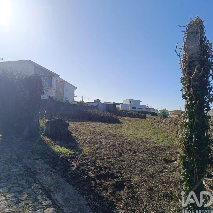 Terreno para Venda em Moledo e Cristelo Foto 4