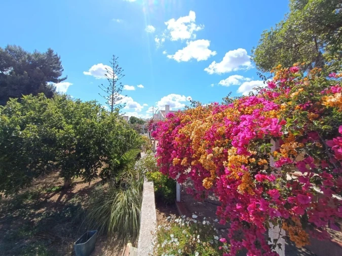 Terreno para Venda em Portimão Foto 5