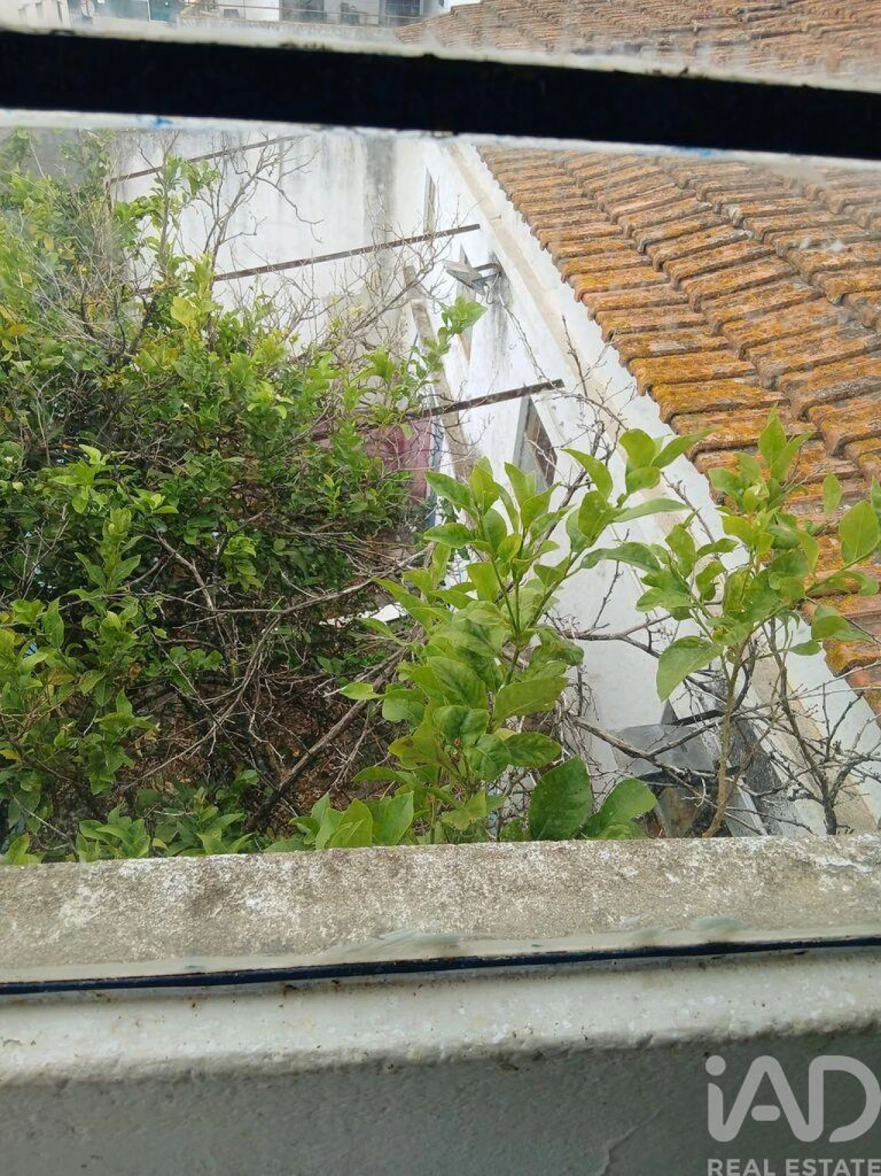 Armazém para Venda em Almeirim Foto 10