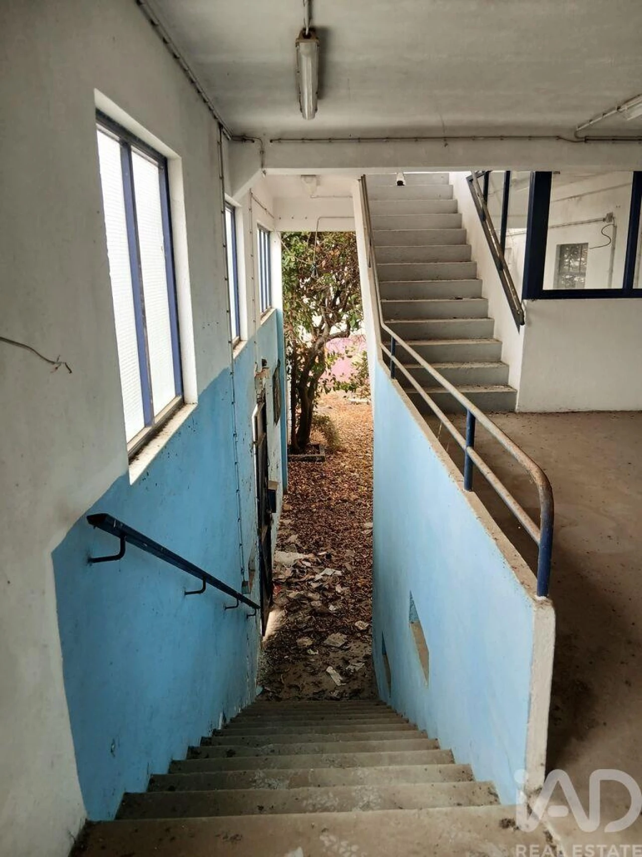 Armazém para Venda em Almeirim Foto 5