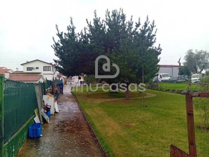 Moradia T4 para Venda em Oliveira do Bairro Foto 73