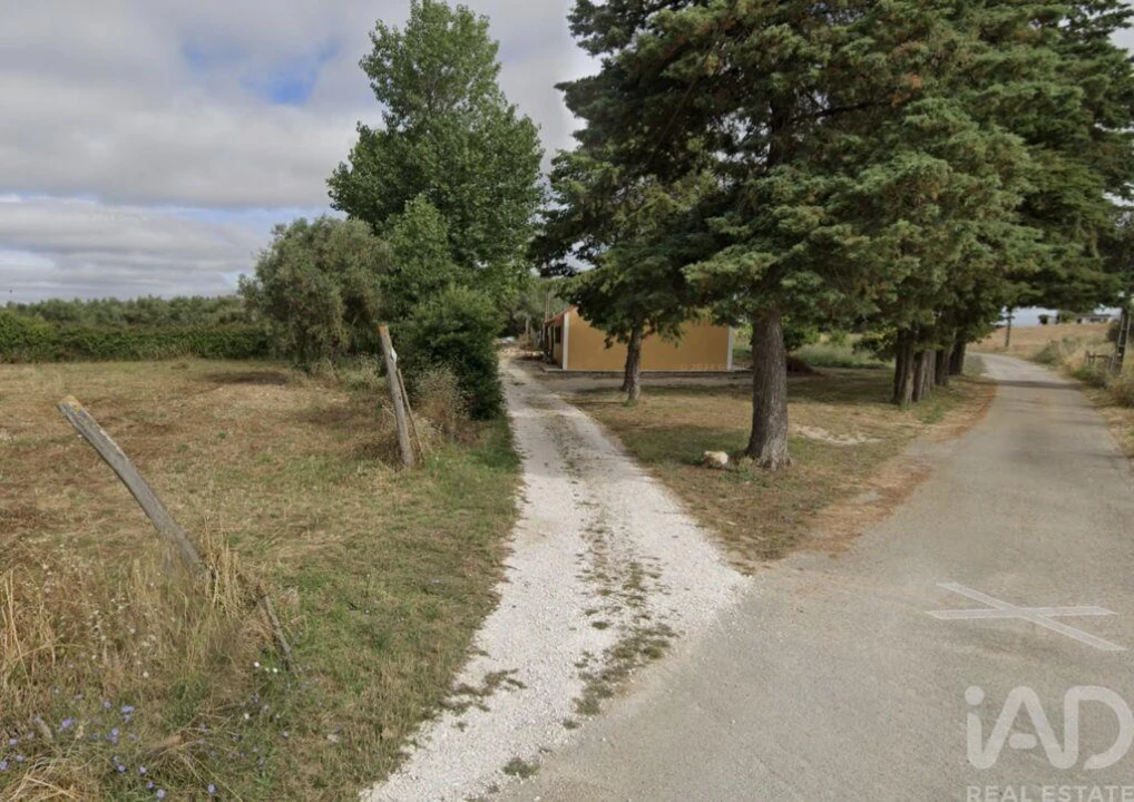 Terreno para Venda em São Vicente do Paul e Vale de Figueira Foto 3