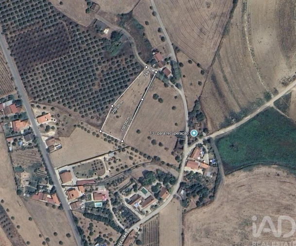 Terreno para Venda em São Vicente do Paul e Vale de Figueira Foto 5