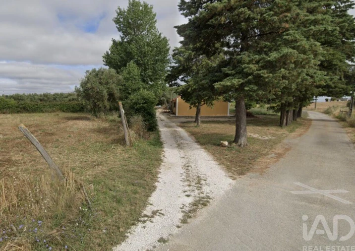 Terreno para Venda em São Vicente do Paul e Vale de Figueira Foto 3