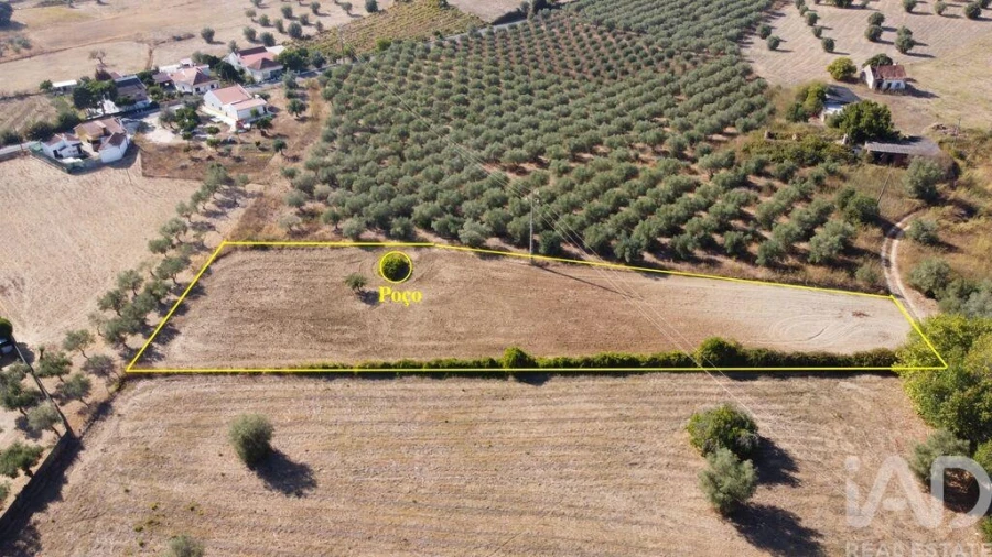 Terreno para Venda em São Vicente do Paul e Vale de Figueira Foto 2