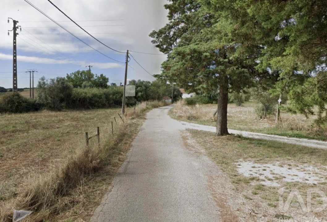 Terreno para Venda em São Vicente do Paul e Vale de Figueira Foto 4