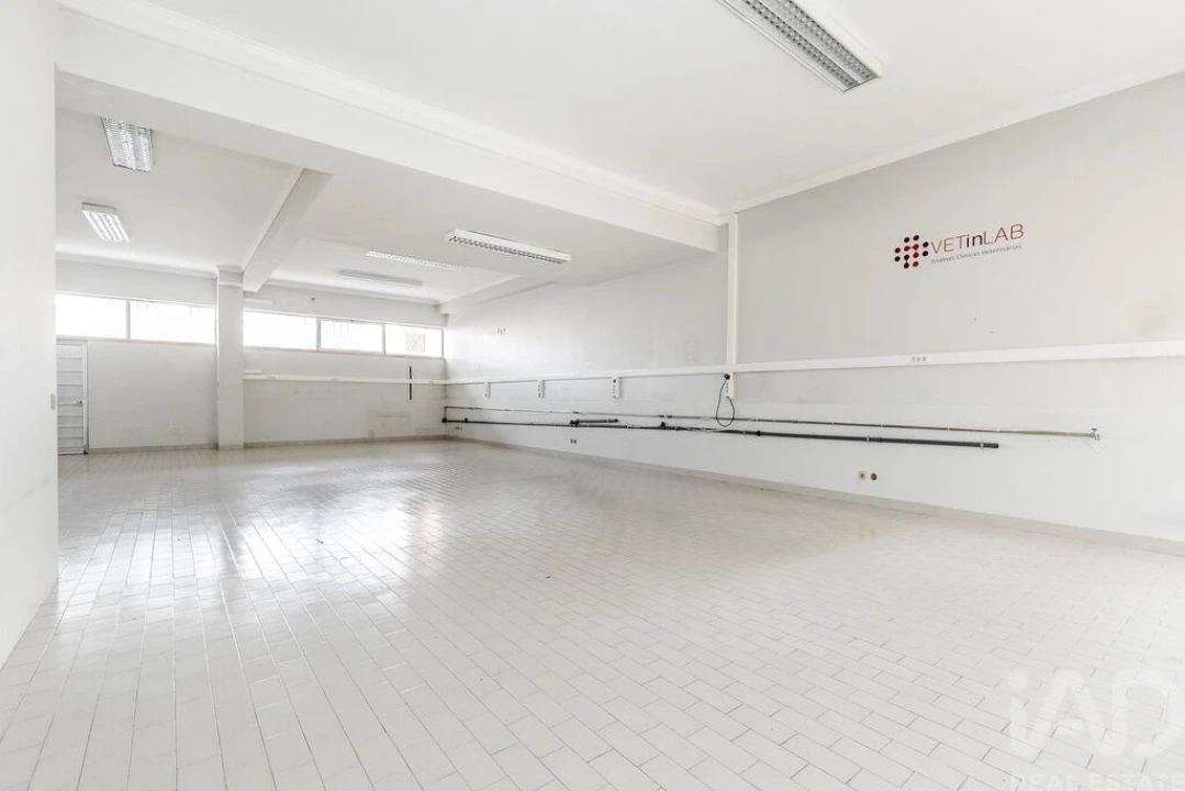 Loja para Arrendamento em São Domingos de Benfica Foto 8