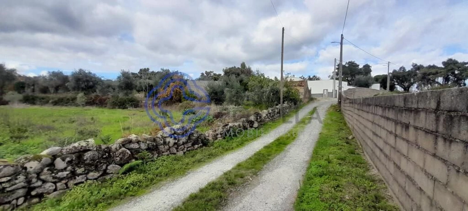 Terreno para Venda em Soalheira Foto 7