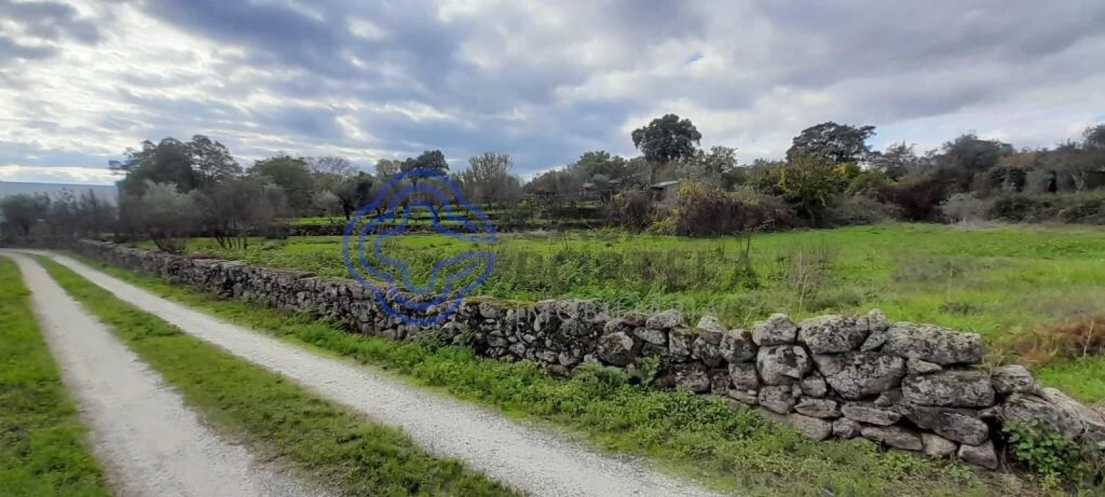 Terreno para Venda em Soalheira Foto 6