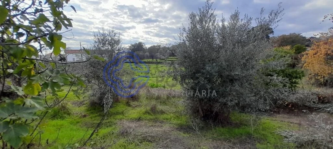 Terreno para Venda em Soalheira Foto 3