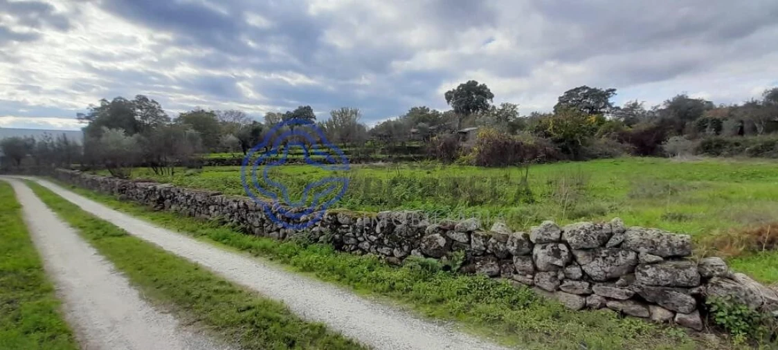 Terreno para Venda em Soalheira Foto 6