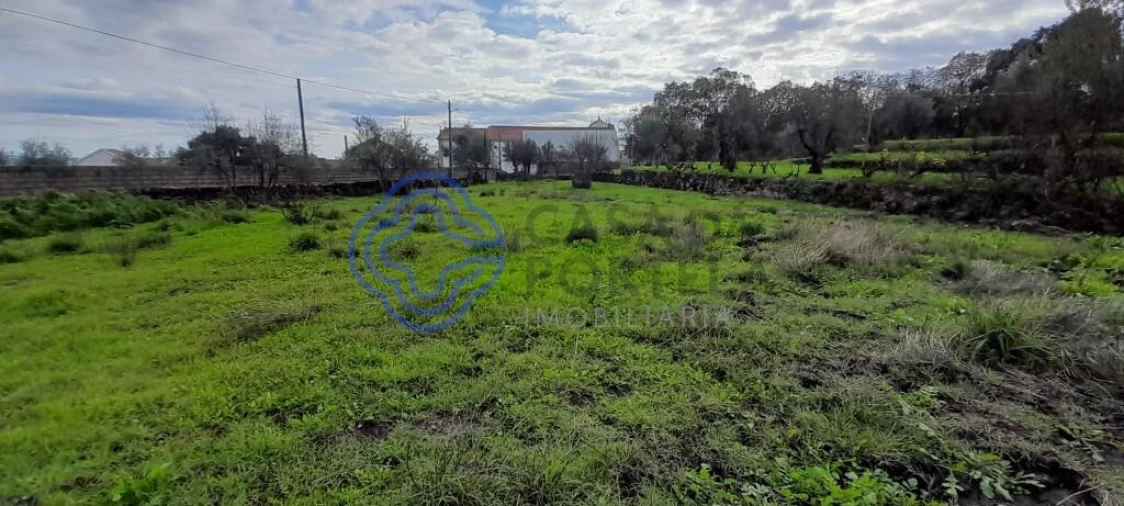Terreno para Venda em Soalheira Foto 5