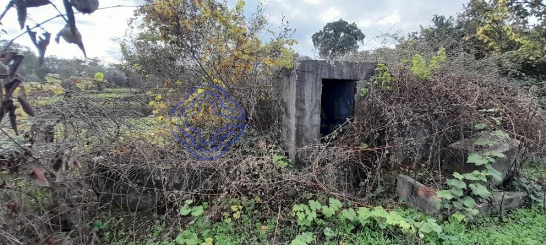 Terreno para Venda em Soalheira Foto 4