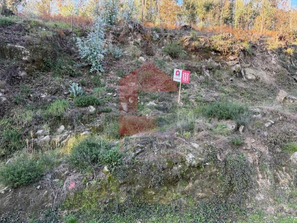 Terreno para Venda em Prado (São Miguel) Foto 10