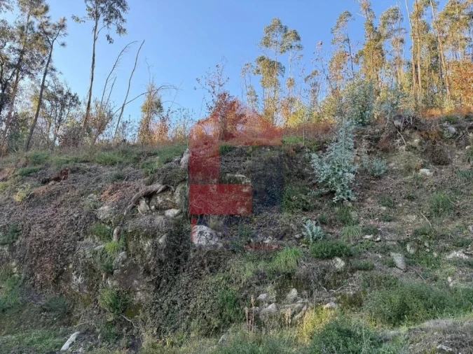 Terreno para Venda em Prado (São Miguel) Foto 2