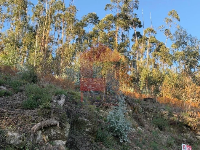 Terreno para Venda em Prado (São Miguel) Foto 6