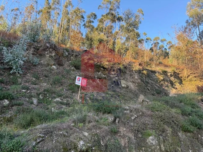 Terreno para Venda em Prado (São Miguel) Foto 4