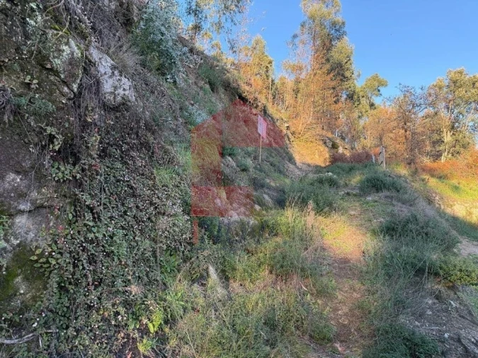 Terreno para Venda em Prado (São Miguel) Foto 3