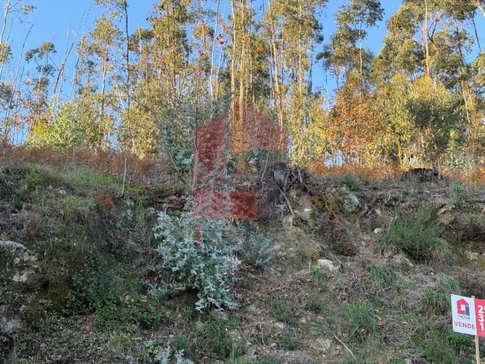 Terreno para Venda em Prado (São Miguel) Foto 8