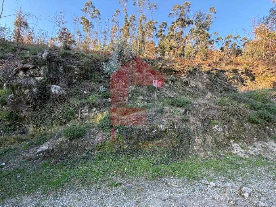 Terreno para Venda em Prado (São Miguel) Foto 1