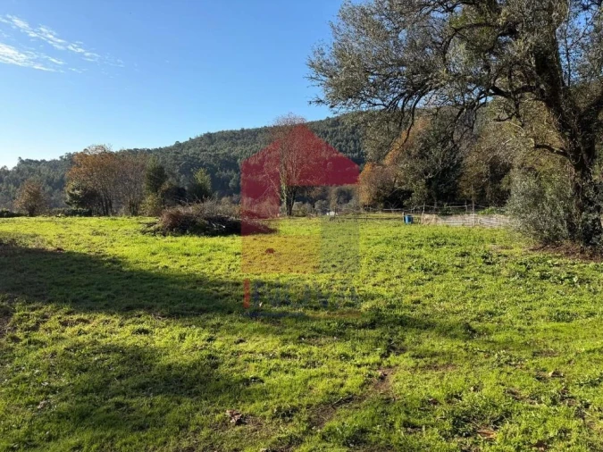 Terreno para Venda em Prado (São Miguel) Foto 10