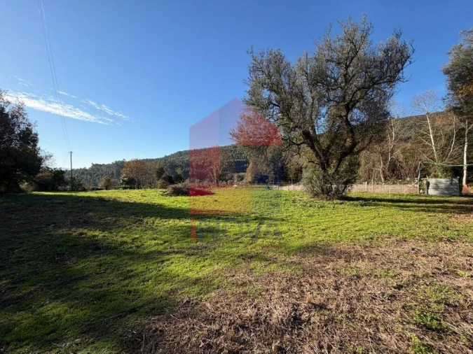 Terreno para Venda em Prado (São Miguel) Foto 5