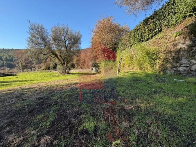 Terreno para Venda em Prado (São Miguel) Foto 2