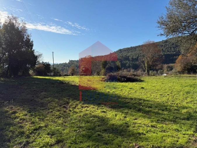Terreno para Venda em Prado (São Miguel) Foto 12