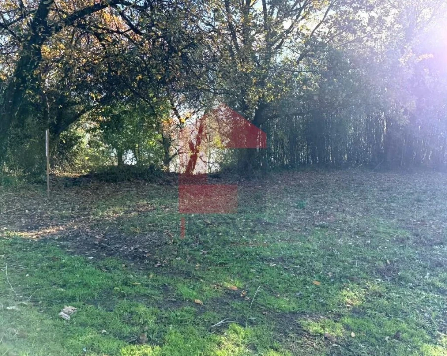 Terreno para Venda em Prado (São Miguel) Foto 13