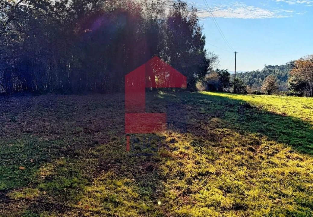 Terreno para Venda em Prado (São Miguel) Foto 7