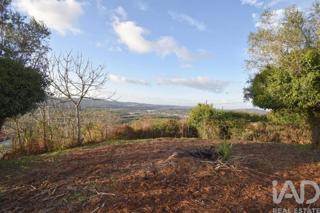 Moradia para Venda em São Miguel, Santa Eufémia e Rabaçal Foto 16