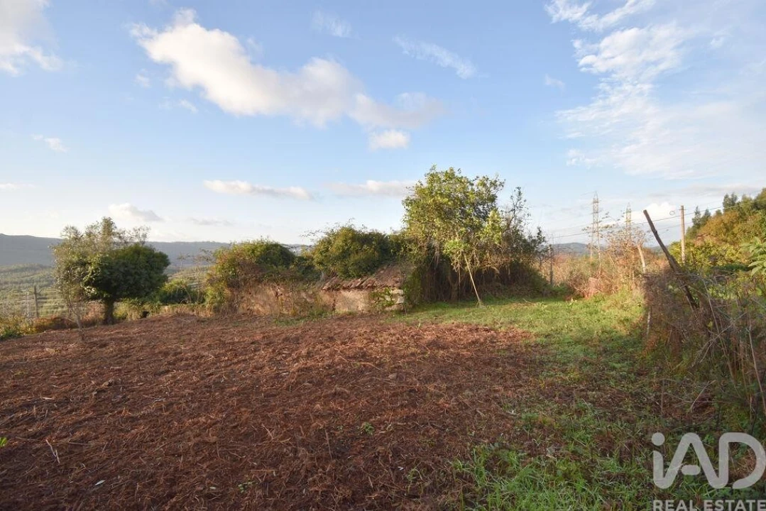Moradia para Venda em São Miguel, Santa Eufémia e Rabaçal Foto 18