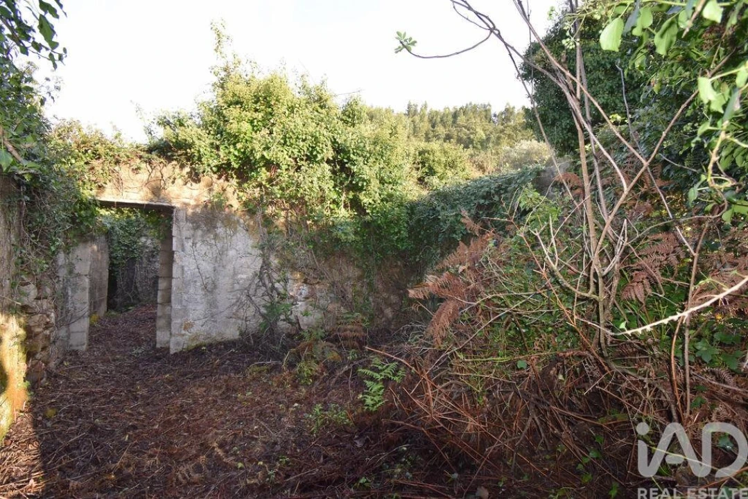 Moradia para Venda em São Miguel, Santa Eufémia e Rabaçal Foto 9