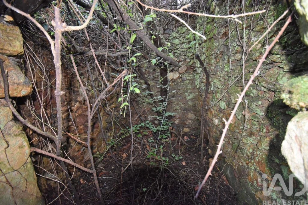 Moradia para Venda em São Miguel, Santa Eufémia e Rabaçal Foto 13