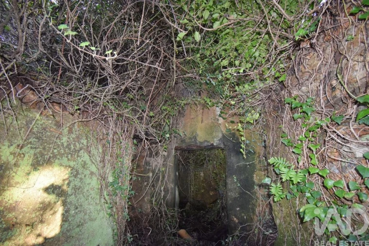 Moradia para Venda em São Miguel, Santa Eufémia e Rabaçal Foto 11