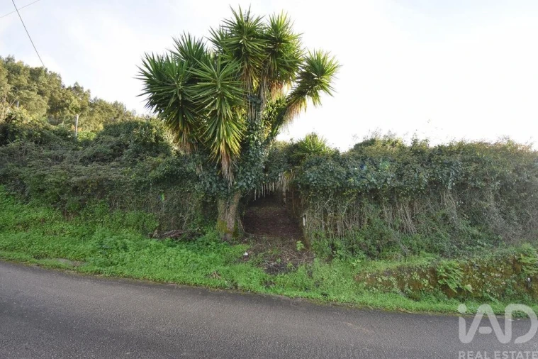 Moradia para Venda em São Miguel, Santa Eufémia e Rabaçal Foto 4