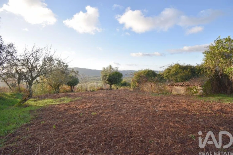 Moradia para Venda em São Miguel, Santa Eufémia e Rabaçal Foto 17