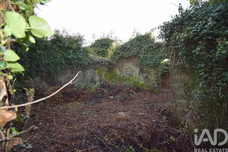 Moradia para Venda em São Miguel, Santa Eufémia e Rabaçal Foto 6